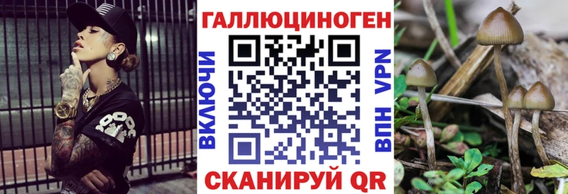 kraken ссылки  цены   Янаул  Псилоцибиновые грибы прущие грибы 